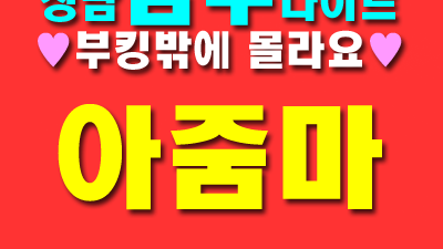 성남샴푸나이트  2인1조 아줌마가 확실하게 모시겠습니다.
