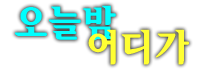일산샴푸나이트